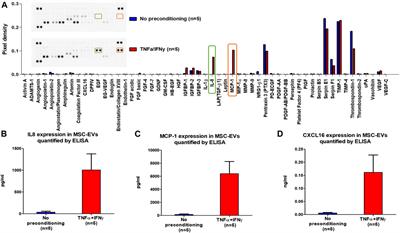 Effects of preconditioning with TNFα and IFNγ in angiogenic potential of mesenchymal stromal cell-derived extracellular vesicles